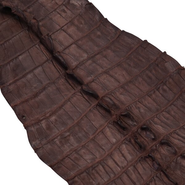 NCROC.Vintage Chocolate.Hornback.03.jpg Nile Crocodile Tails Image